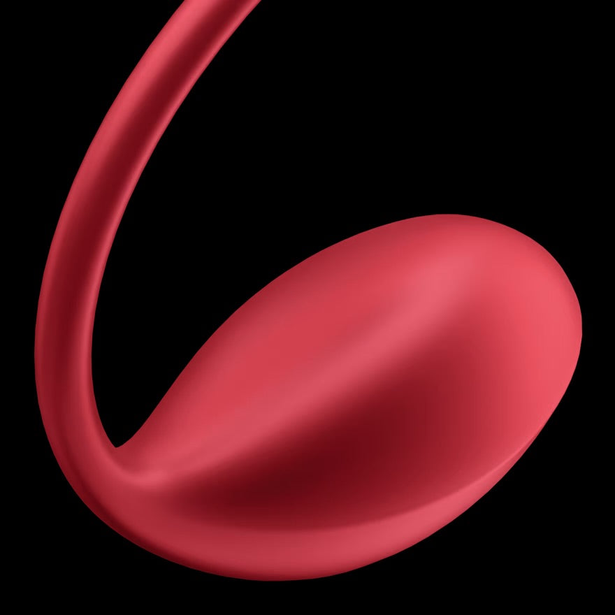 Satisfyer Shiny Petal Connect App